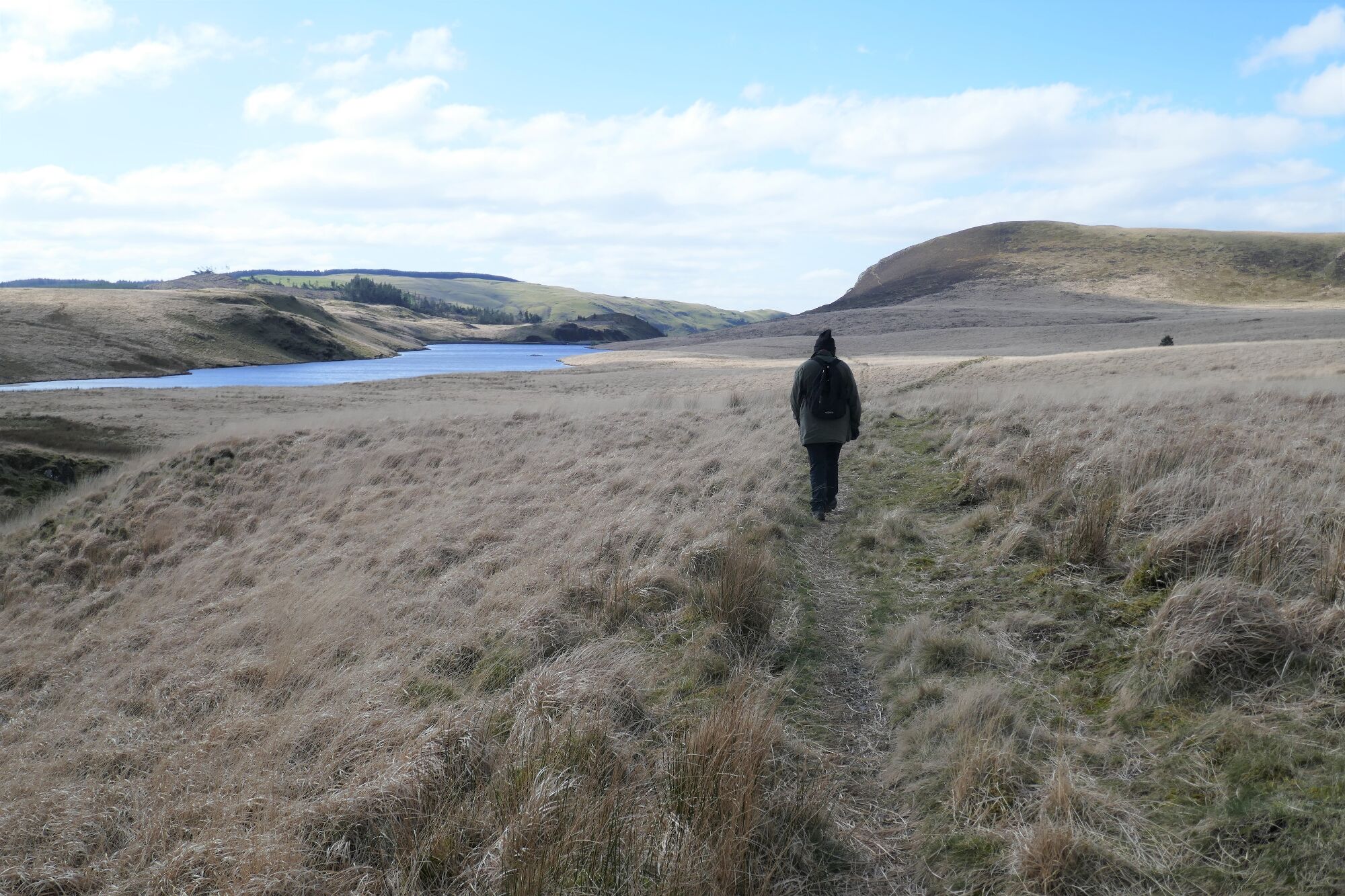 RachelSeabrook.net | Wild Walking | Cwm Cyneiniog and Craig y Pistyll | pic24